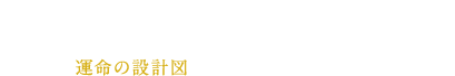 生まれた年、月、日、時間を柱として、あなたの運命の設計図（命式・五行図）が書けてしまいます。