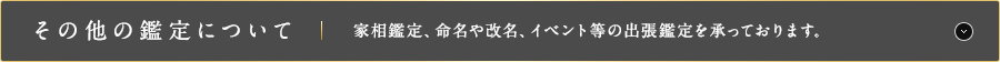 その他の鑑定について